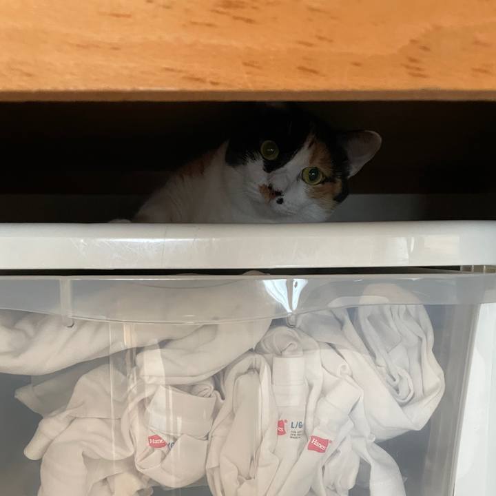 6e016542 6d5d 4be9 88bb 16e4c0585632 1629845310305