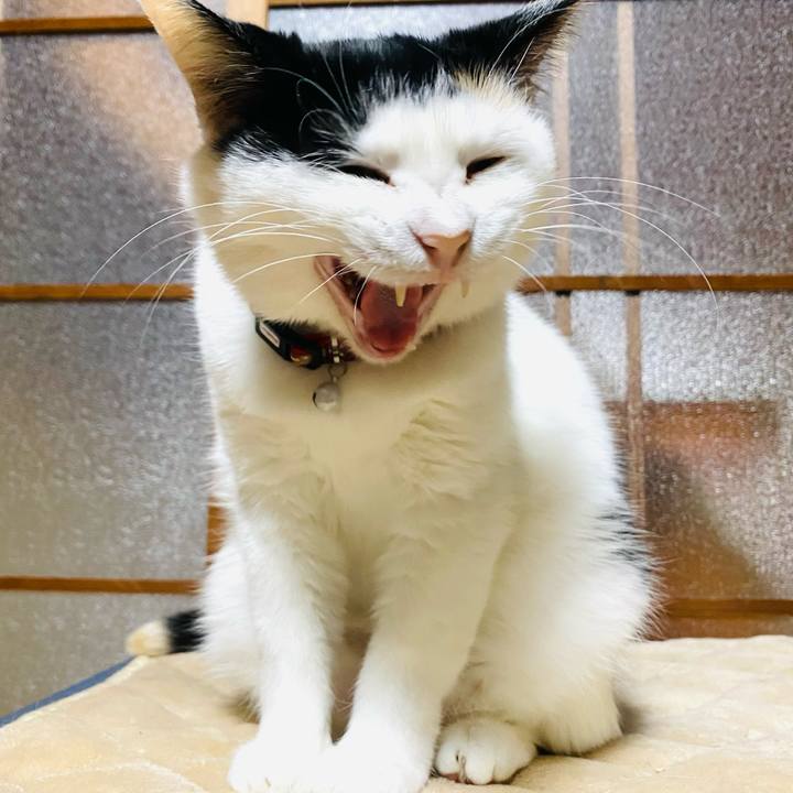 6e016667 83fe 4c43 b133 36b64328a005 1651957335951