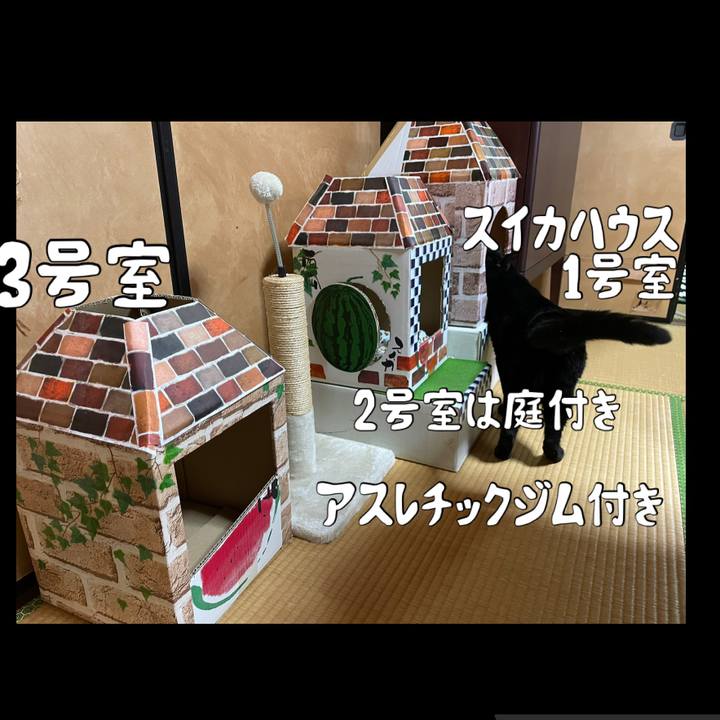 6e016e2a 627a 42aa ac6c a9c5b1c4a456 1749339231824