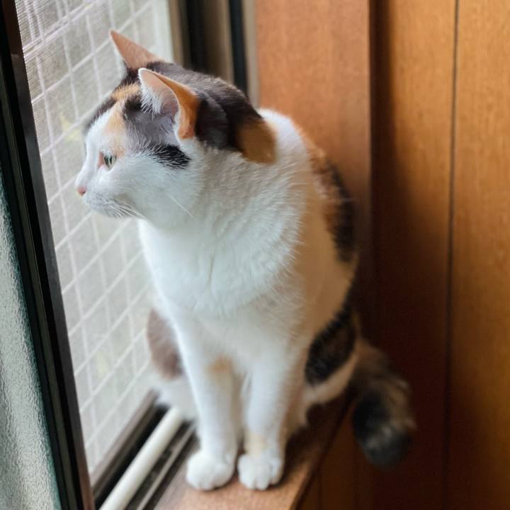 6e017aa0 6a9c 460b 8bdd a60142a5bad6 1657416287131