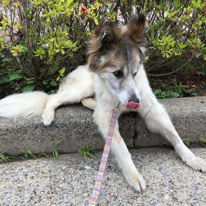 6e018eb2 c07e 4c83 9831 d0cc07a00af9 1527727616477