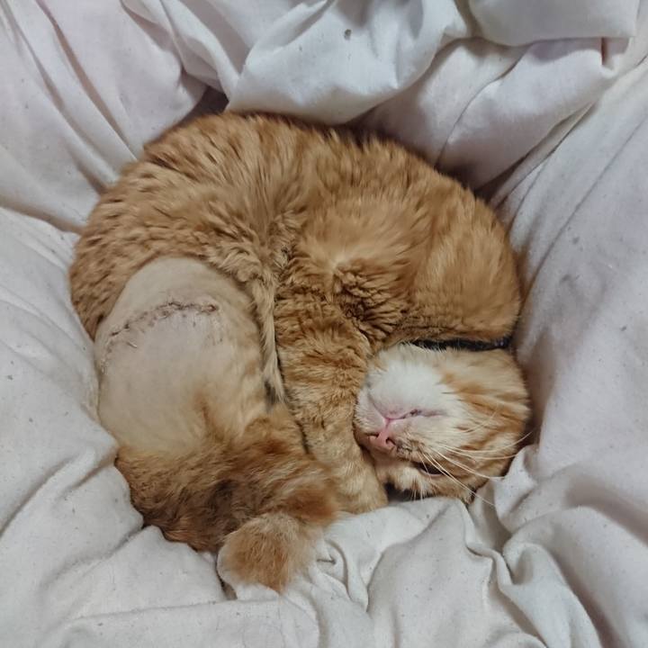 6e020038 f123 44c9 81cb bcda51967810 1653907286191