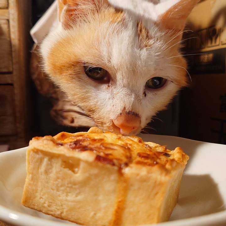 6e020585 f0a7 45dc 9bc4 4ef01eb378ff 1763206936826