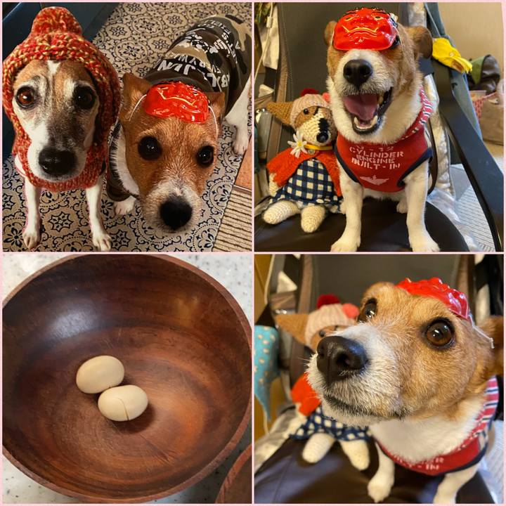 6e0211aa c434 42c1 b743 d7db907065a3 1612265523049