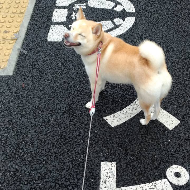 6e022d83 c455 4ae7 b25d d2b63bafe8de 1600037912749