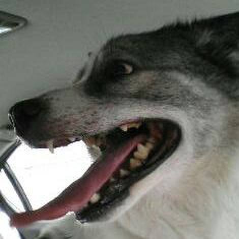 6e023831 90ed 44ff b3a4 dfa1535dfa25 1509678073623