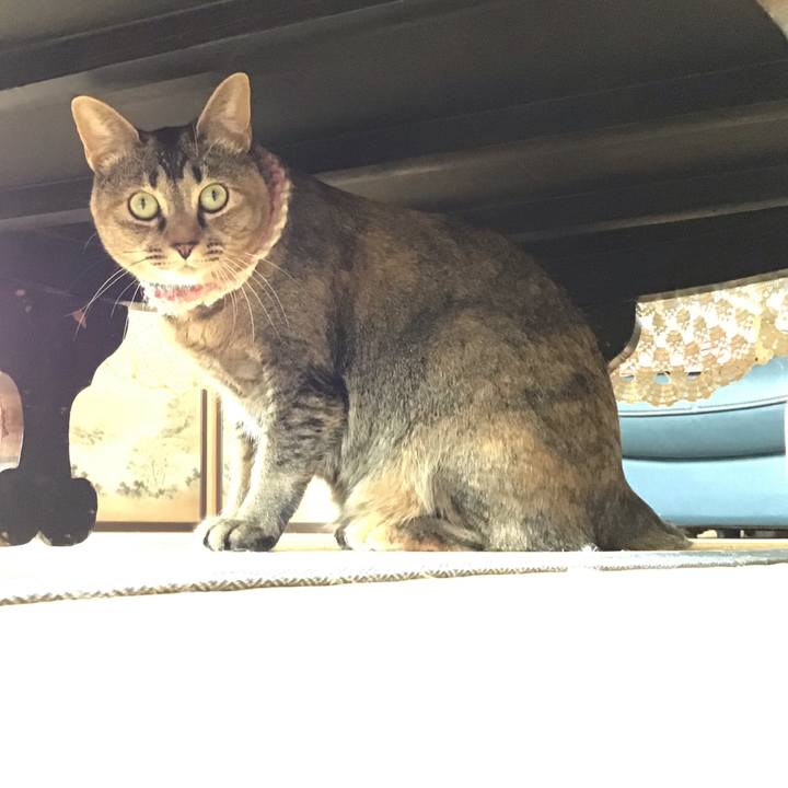 6e024aae ae00 4f69 be43 80af6141f23a 1619242353940