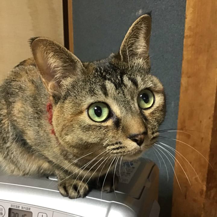 6e025677 1bb9 4f8b 9c23 0d75509c880b 1642025517864