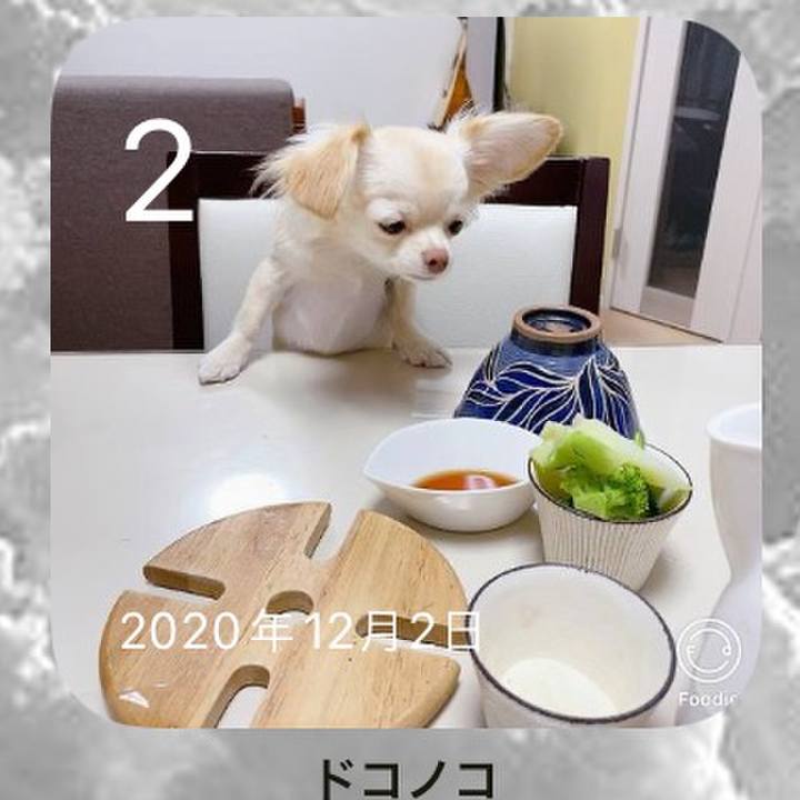 6e028634 056e 4980 90b3 d6552141927b 1638439941454