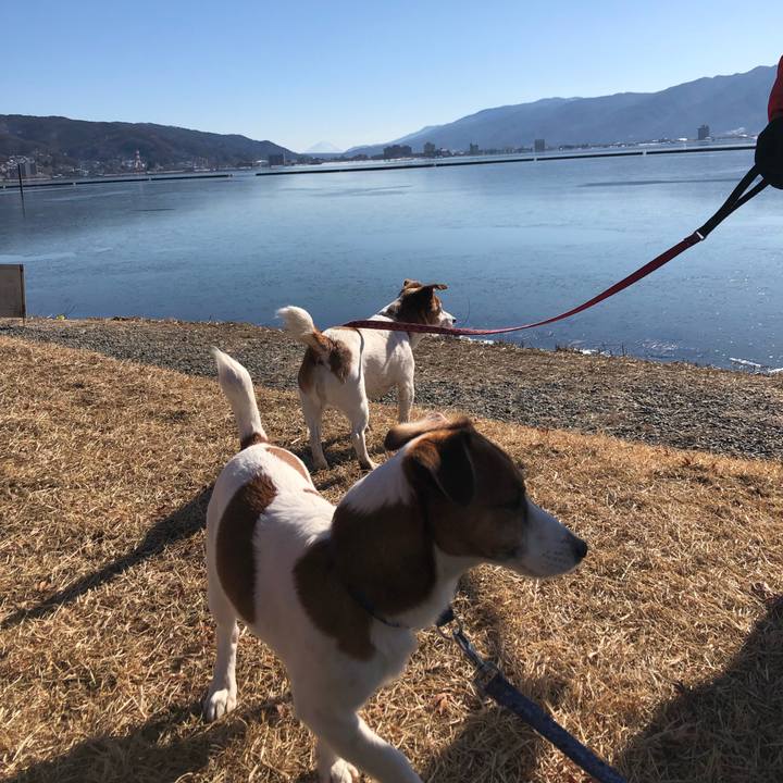 6e0362c9 221e 4dc7 a478 79e9618c04f7 1546670168710