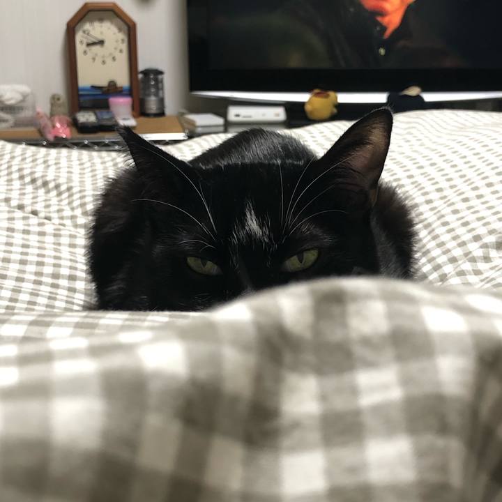 6e037151 a0ac 4a63 8764 e86785821926 1550572013780