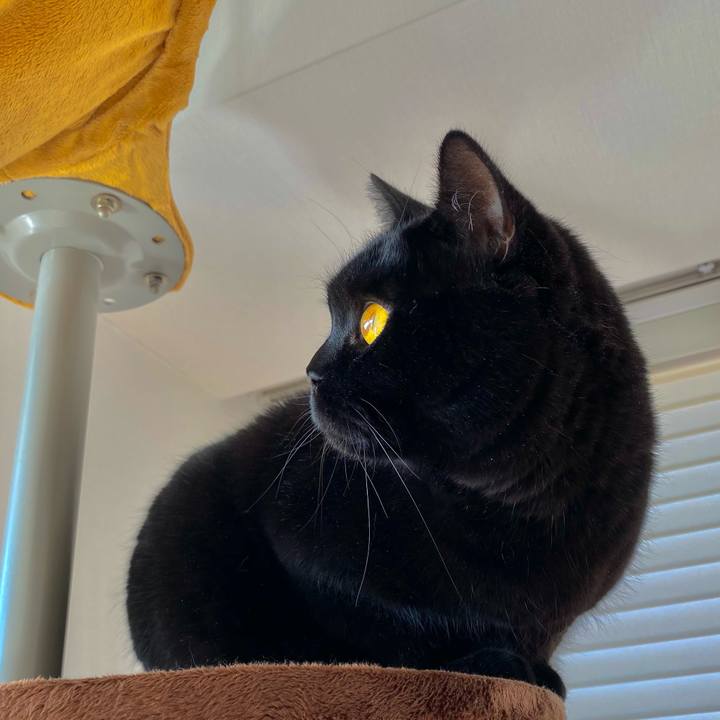 6e0386e6 71c3 43fe abf7 a2ceb12deb7d 1605403995162