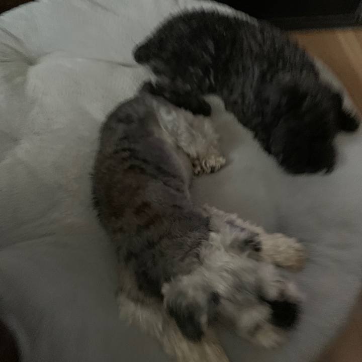 6e03ab4b 7865 45d5 b023 b92b1c6cf001 1691724845251