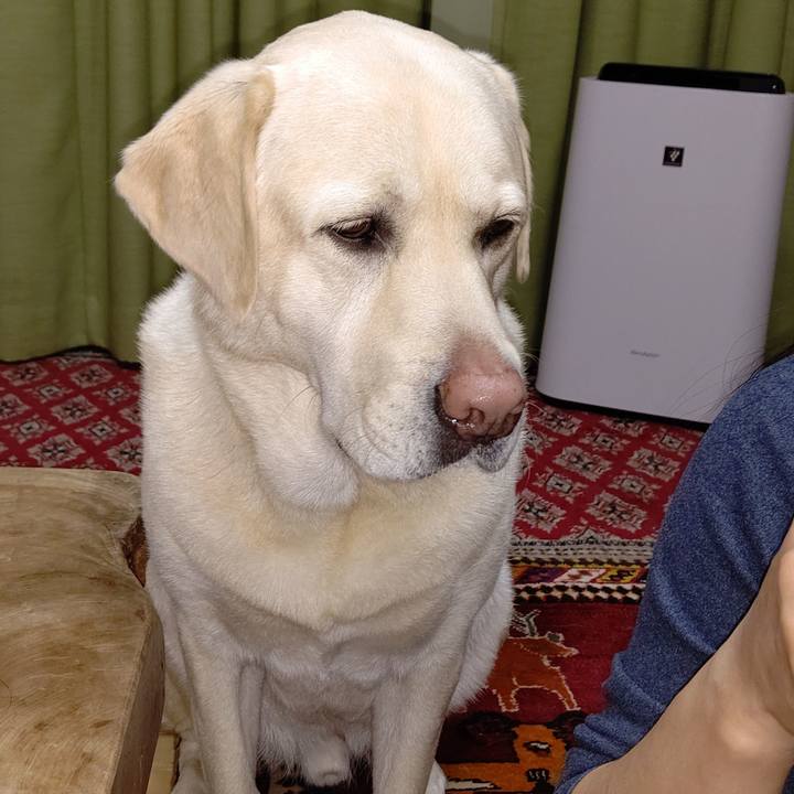 6e03f409 1ef3 4246 8ad7 d848fc08355b 1617621627761