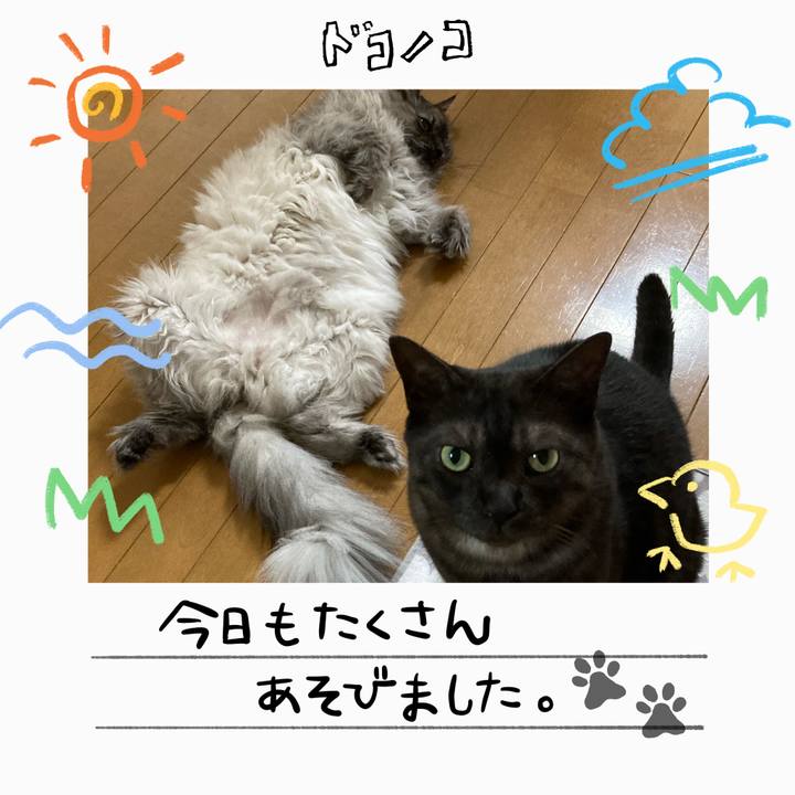 6e03f44c 974c 4552 a597 389e3197e840 1755430659686