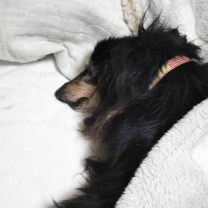 6e04027d 20ab 4f19 b899 8d3dbaf4d133 1638772608807