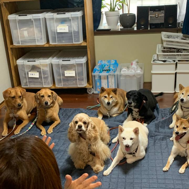 6e04180a 502d 40b6 8f91 8f71a59df16d 1571040400355