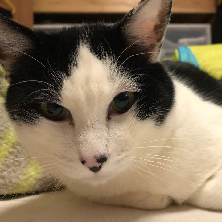 6e042e9a 8689 4df1 bf5a c2a1e8a07dcc 1549043100416