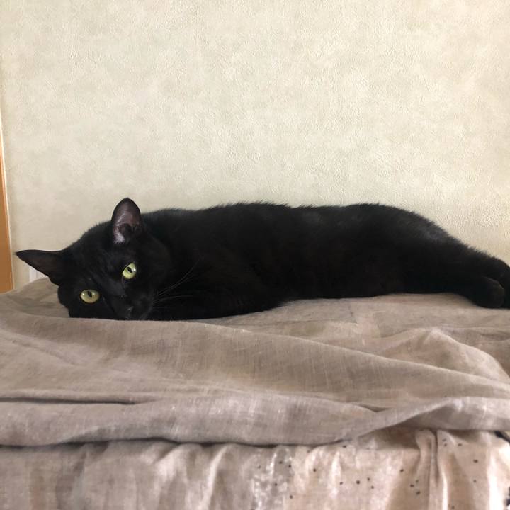 6e048bef e245 408e a0d5 d9781a13fc37 1588465752896