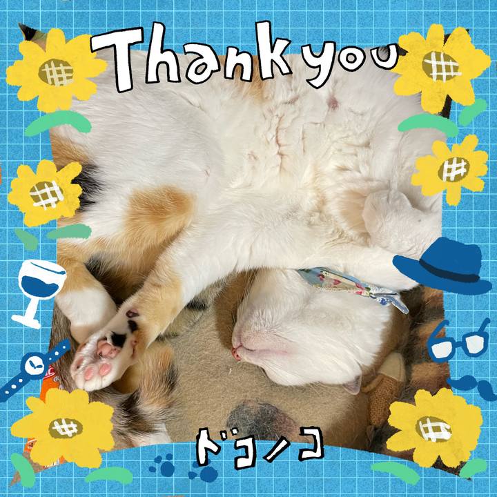 6e048e46 218a 481c 8400 39cef7c61d5a 1717935401365