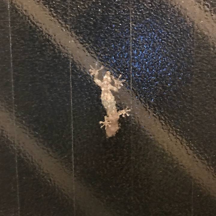 6e048f30 9c43 4353 827c 5c86d3e8b677 1530104464231