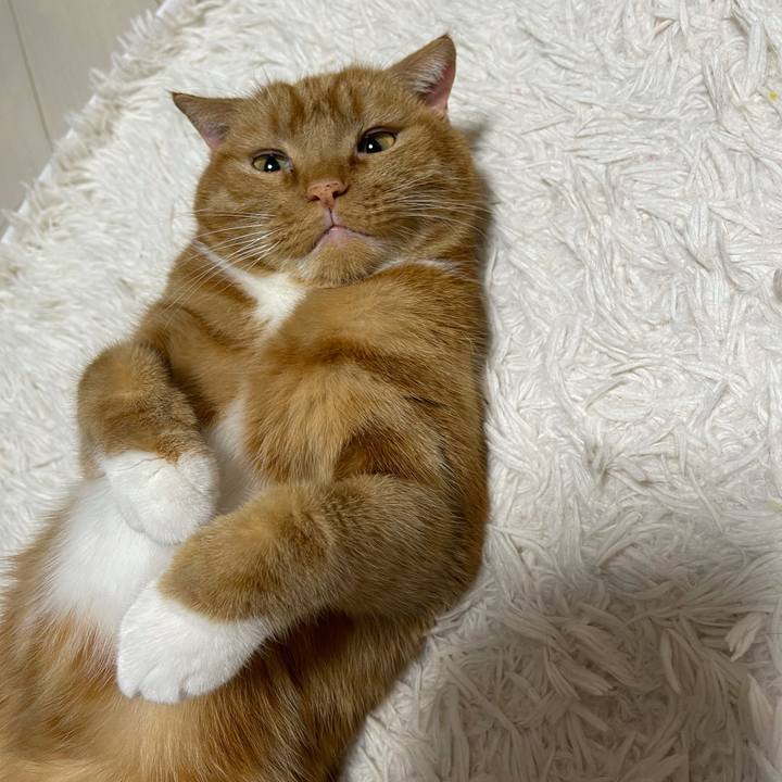 6e049460 b0c6 4189 8899 2a610df0b5f6 1626605867685