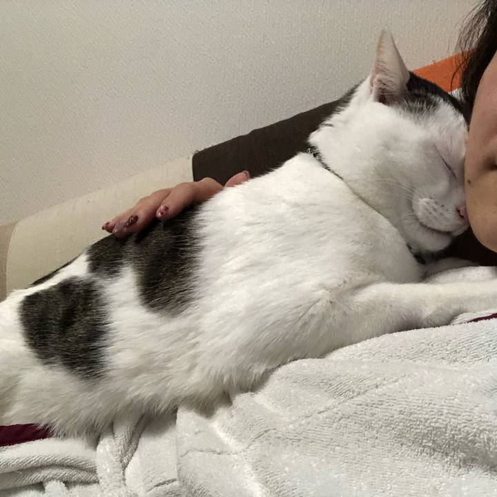 6e04f548 8b0a 4728 99f6 2edb372cf19e 1554282119148