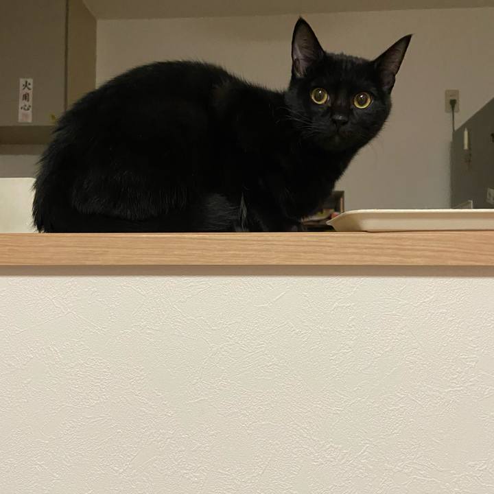 6e051b46 2ab0 4ebf af6c 6ad0575fca96 1615894465239