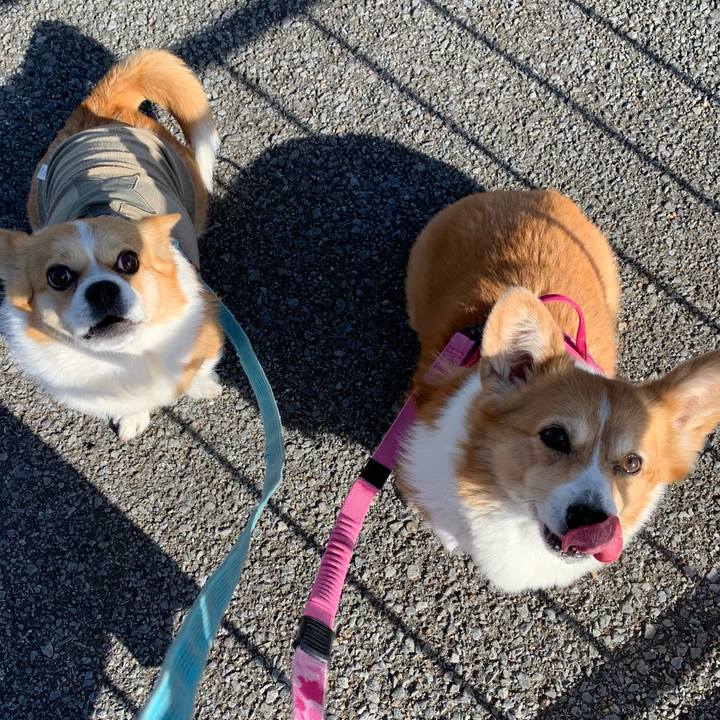 6e0534b6 d457 42ca abb2 6a6dd70aa26f 1702002230190