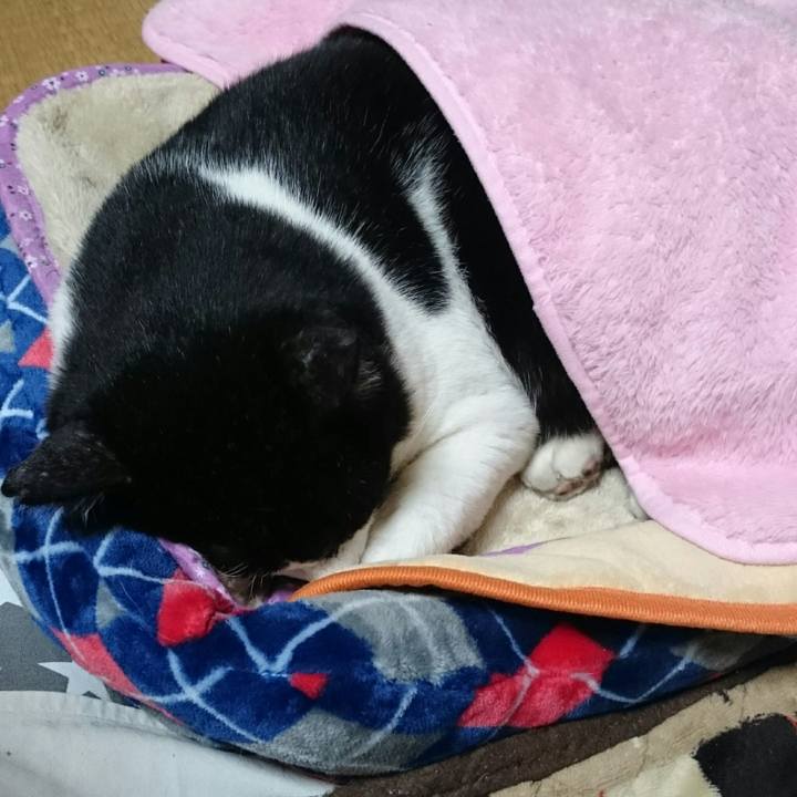 6e054531 0e53 431a 8761 1abca50fc644 1509630803347