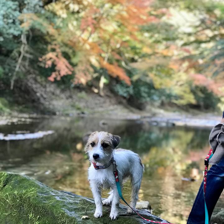 6e055edb 6b57 445b 8ede f2f5e01cef8a 1764596205460