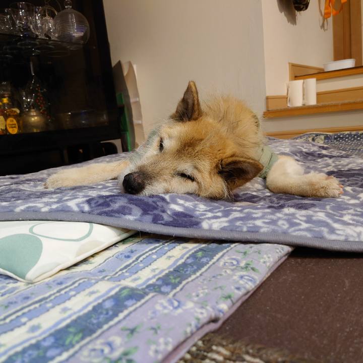 6e0569e4 577c 4b1a 9377 62757e41569d 1646305679476