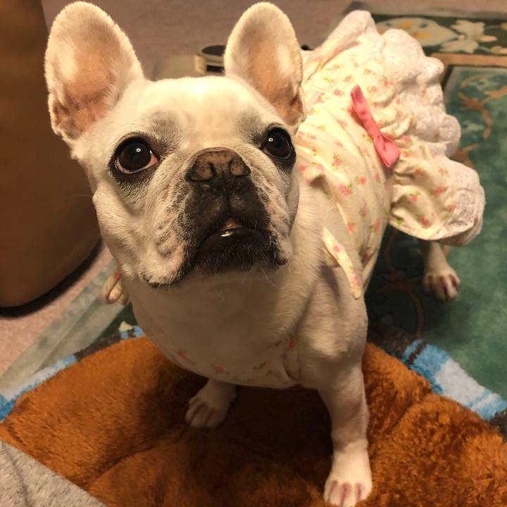 6e059a75 9bb0 48eb afac da08e996592b 1587378772854