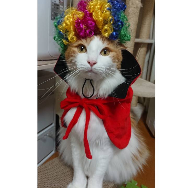 6e05c76c 49a4 4191 bd43 625103dfee53 1572162448294