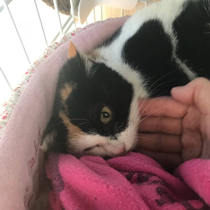 6e05d8d9 5b8d 4587 98e0 ea39471c9e2d 1512174436973