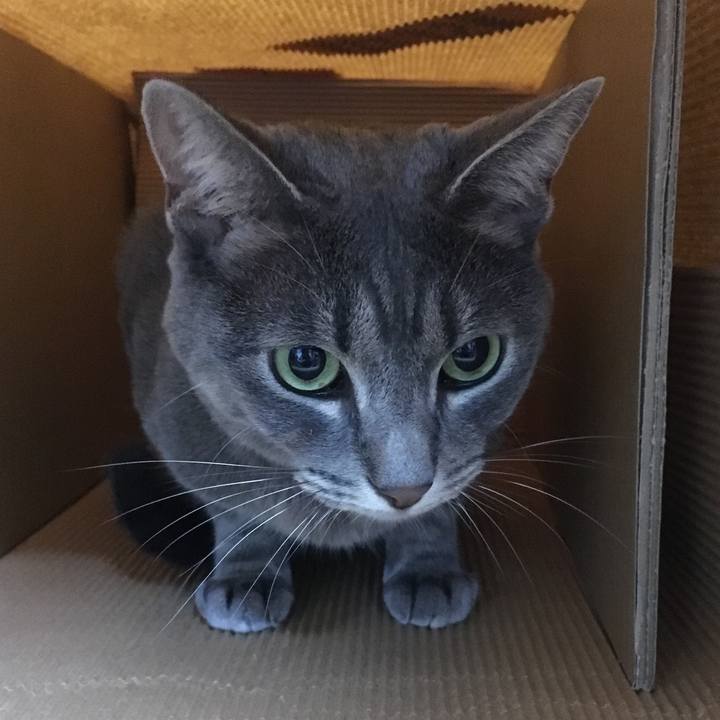 6e05dad0 9610 4036 bdb9 66b7b6f28a43 1568375585217