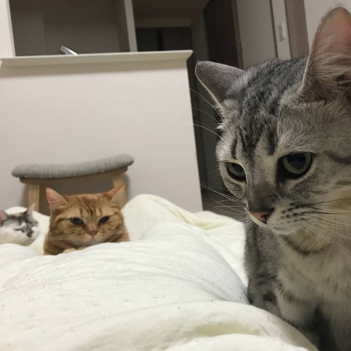 6e060cdc 9d24 48b2 8714 4fdfe177dfe7 1526391614725