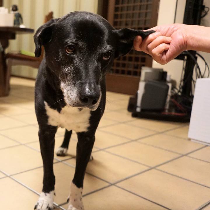 6e061424 ac69 49ed 96ba d443bac28130 1773236112978