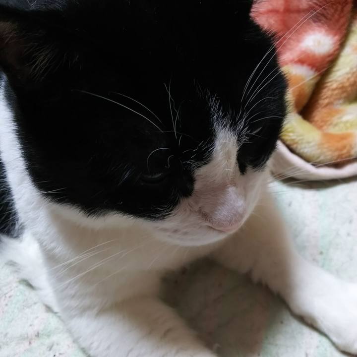 6e062736 bc9f 4656 a881 d7f95a9ed564 1564523525988