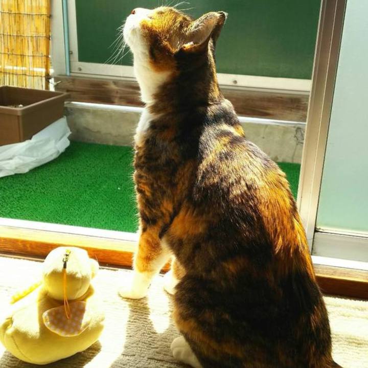 6e063c28 10d0 4206 9247 a952cb8d416a 1583622388666