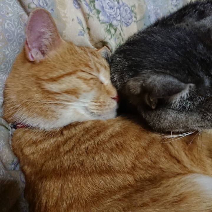 6e063f8c eeba 4d7d b15b 31ec4d3a95e6 1575290990140