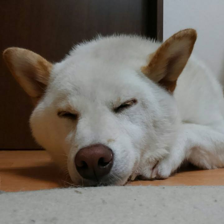 6e066744 d718 40e2 a377 562f9881d635 1530452983914