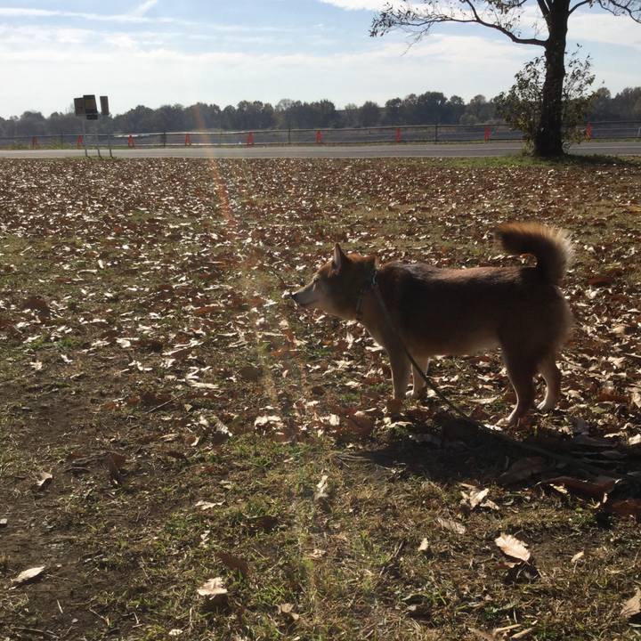 6e066df2 0572 487b 88de 8802dd561b75 1606715862050