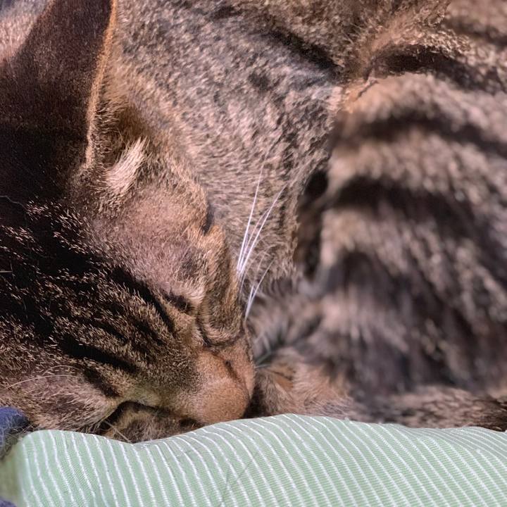 6e06bebe f80f 4b11 98d8 e5ea994cb0b3 1563411525491