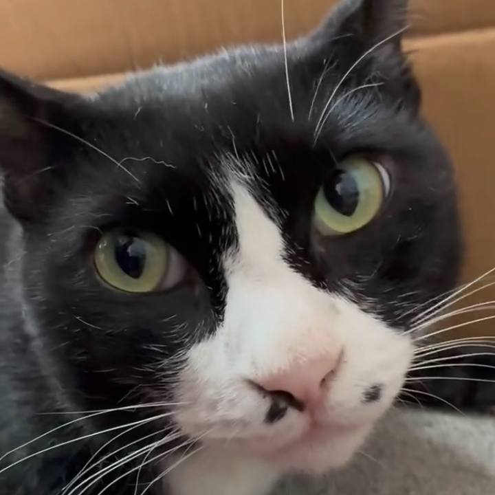 6e06bfb8 c837 4582 b960 0a4fb79c615c 1755829915802