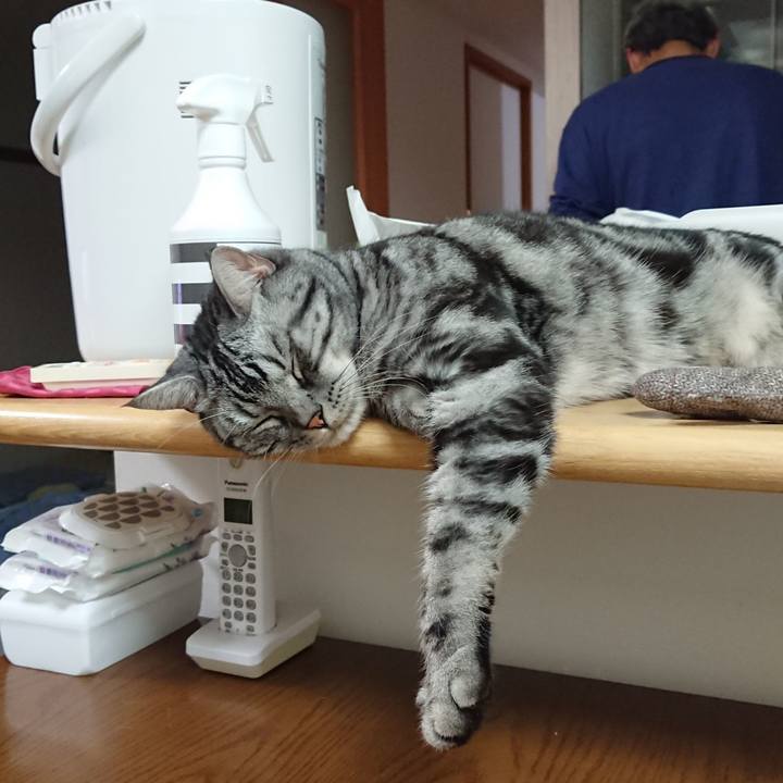 6e06cb71 f0a4 4b3a 8585 65ba2450f65f 1590580600206