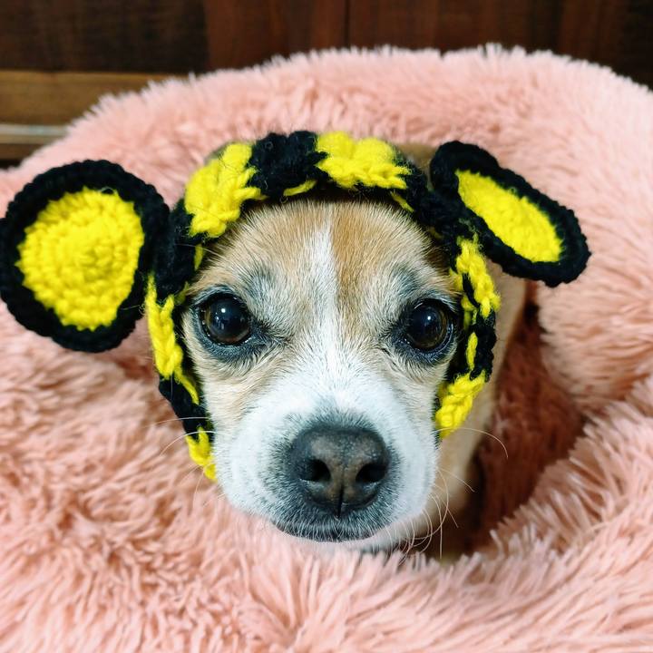 6e06d00f e2f0 4119 a3b1 daf2af3d0328 1640993733401