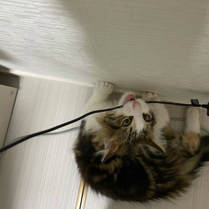 6e06e994 6291 467e b5db 9a0ca0785d1d 1634074041396