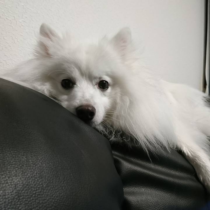 6e06f9ea 30c3 4c6d b6b6 8bfa79651141 1604736269216