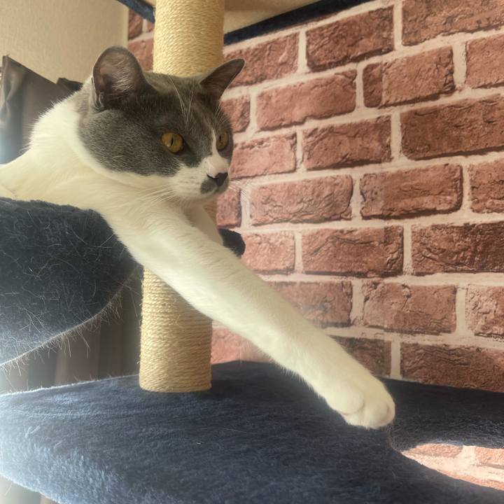 6e070bb6 78a3 4046 bee7 d6d4a20125b0 1638154422141